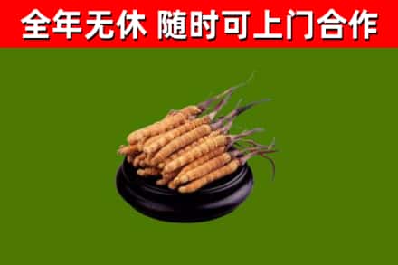 方城县烟酒回收冬虫夏草.jpg